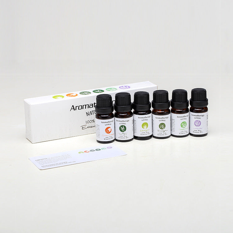 The Circadian Reset Kit | 6-Point Sensory Stack - Nukindz