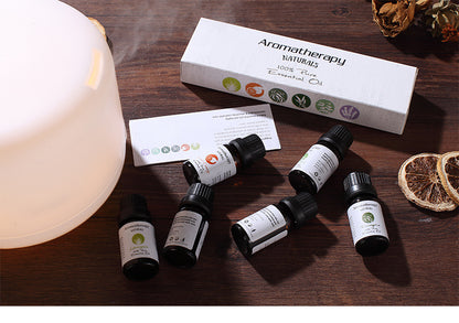 The Circadian Reset Kit | 6-Point Sensory Stack - Nukindz