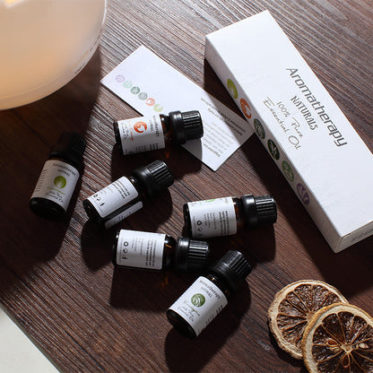 The Circadian Reset Kit | 6-Point Sensory Stack - Nukindz