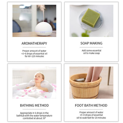 The Circadian Reset Kit | 6-Point Sensory Stack - Nukindz