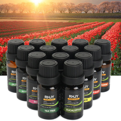 The Neural Catalyst Suite | 14-Piece Terpene Protocol - Nukindz