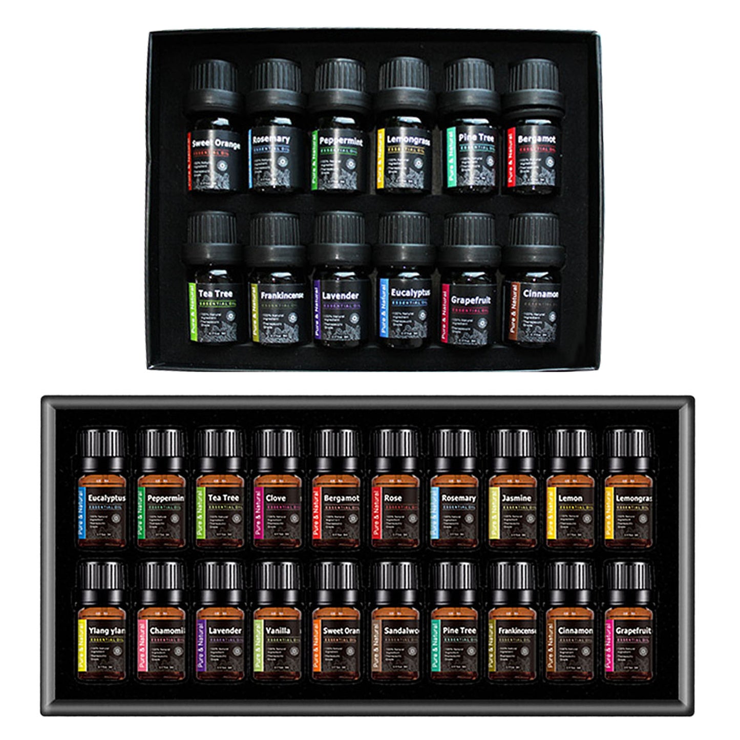 The Neural Catalyst Suite | 14-Piece Terpene Protocol - Nukindz